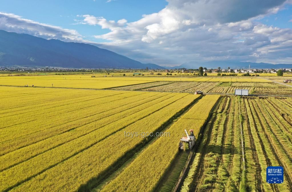 旅游收获对比：除了照片，你还得到了什么？